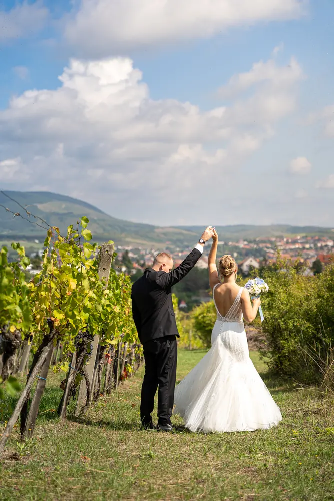 Esküvői pár a szőlőhegy panorámájában